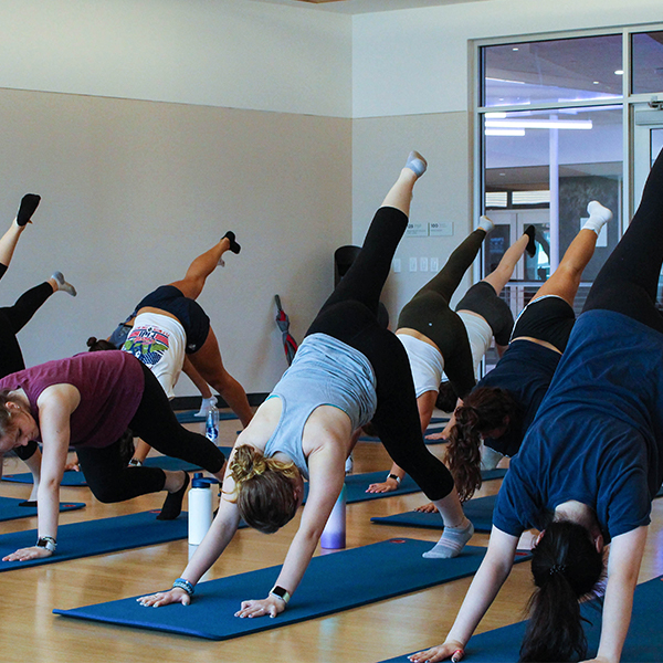 Yoga Flow Fitness Class