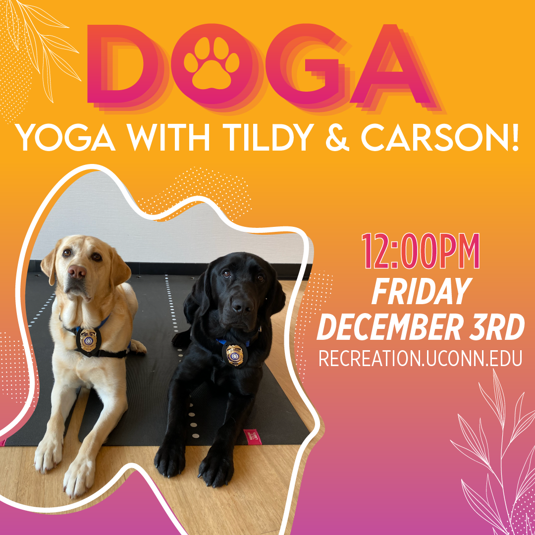 DOGA Dog Yoga with Tildy & Carson