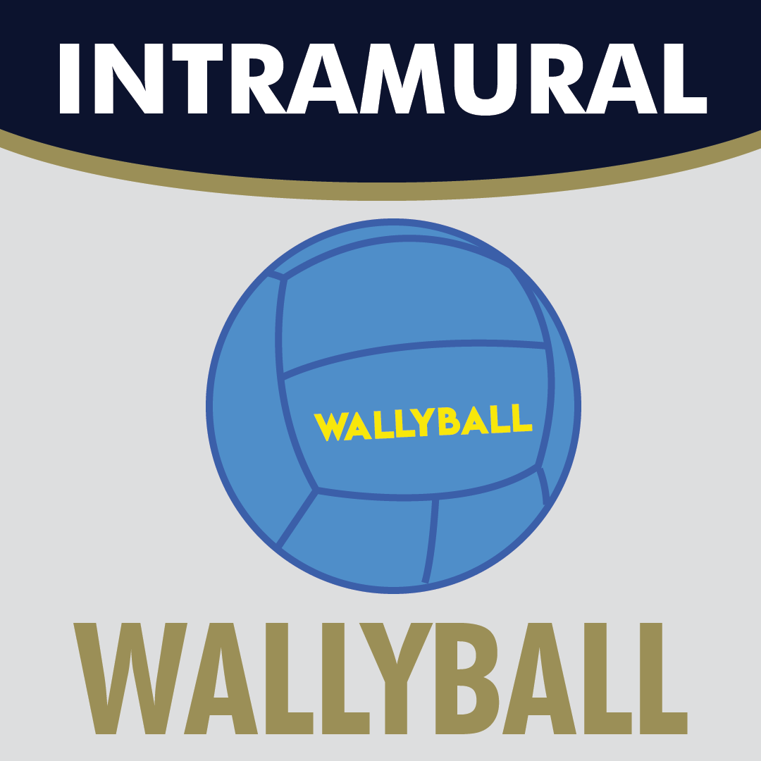 Intramural Wallyball
